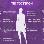 Как повысить тестостерон?Как повысить тестостерон женщине?